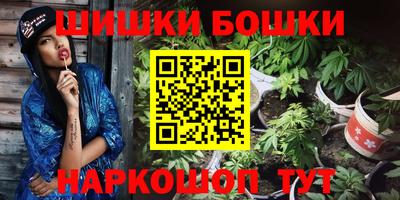 гидра Беслан