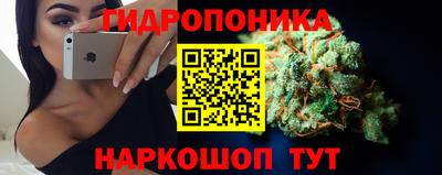гидра Беслан