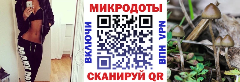 площадка как зайти блэк спрут вход Гусь-Хрустальный Галлюциногенные грибы GOLDEN TEACHER