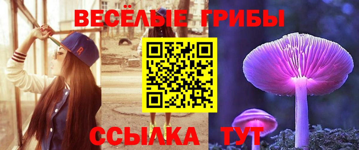 Галлюциногенные грибы Psilocybine cubensis  Вход с VPN  Гусь-Хрустальный 